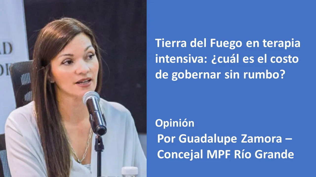 25.1.2026 costo de gobernar sin rumbo guadalupe zamora